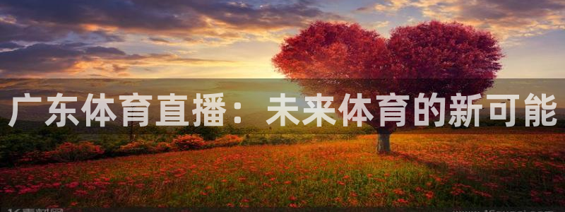 球神直播免费足球直播：广东体育直播：未来体育的新可能