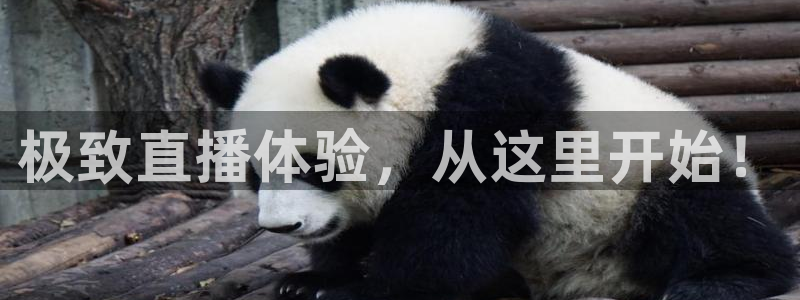 球神体育在线直播