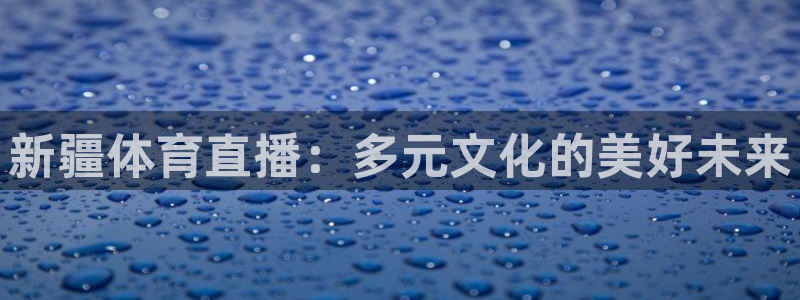 球神直播体育在线观看