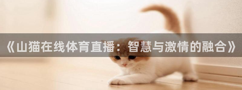 足球球神直播在线观看