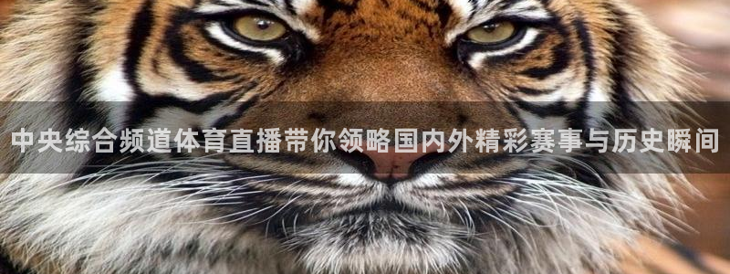 球神直播网免费直播在线观看