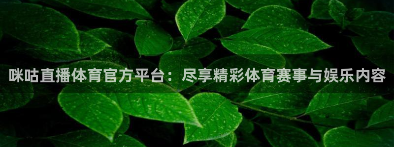 球神体育在线直播