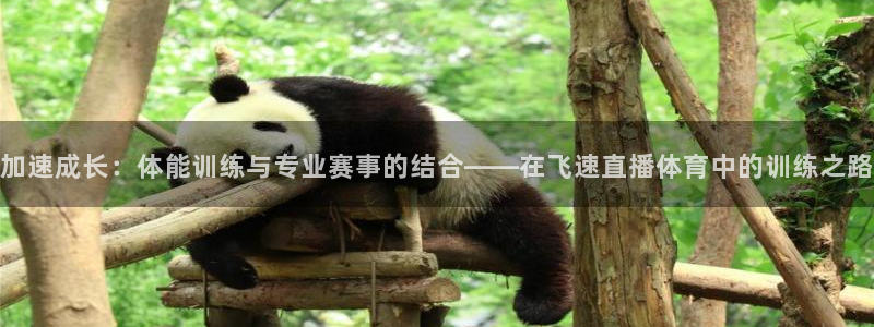 球神 直播：加速成长：体能训练与专业赛事的结合——在飞速直播体育中的训练之路