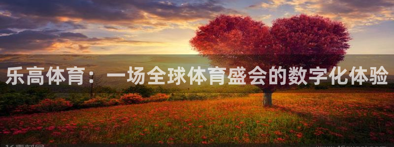 球神直播nba在线直播免费观看：乐高体育：一场全球体育盛会的数字化体验