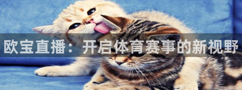 球神直播体育免费观看：欧宝直播：开启体育赛事的新视野