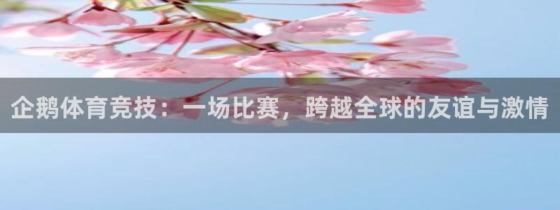 球神直播官网：企鹅体育竞技：一场比赛，跨越全球的友谊与激情