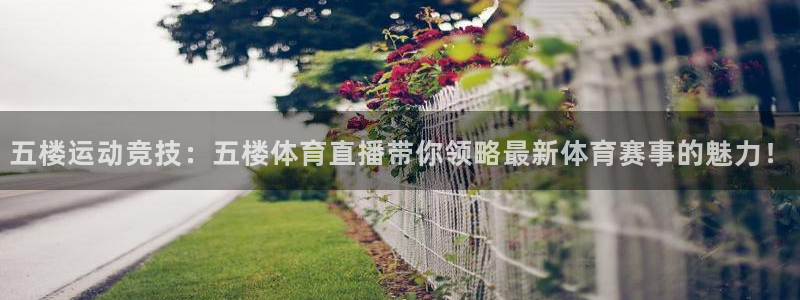 球神体育直播在线