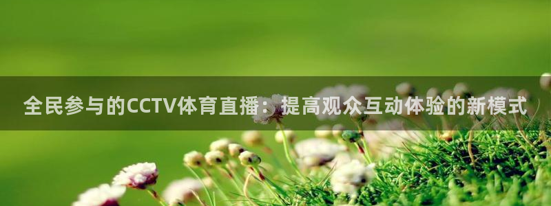 球神直播在线直播免费观看：全民参与的CCTV体育直播：提高观众互动体验的新模式
