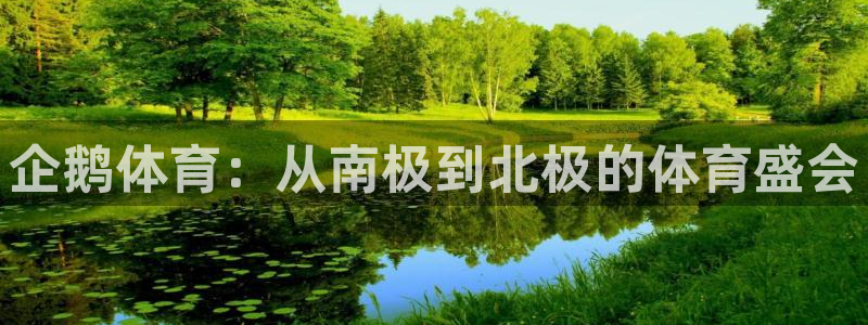 球神nba直播