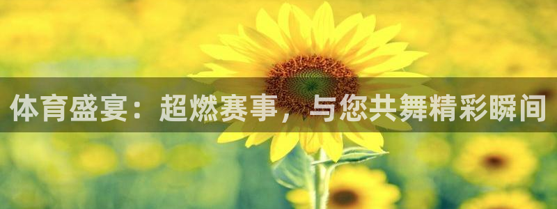 球神体育