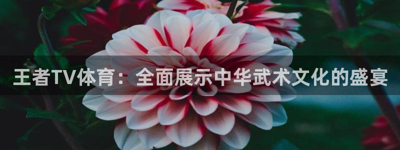 球神直播：王者TV体育：全面展示中华武术文化的盛宴