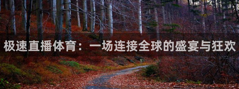球神体育直播：极速直播体育：一场连接全球的盛宴与狂欢